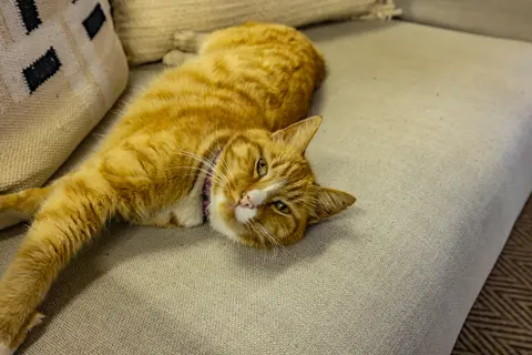 Psychologists - Hermien Schröder