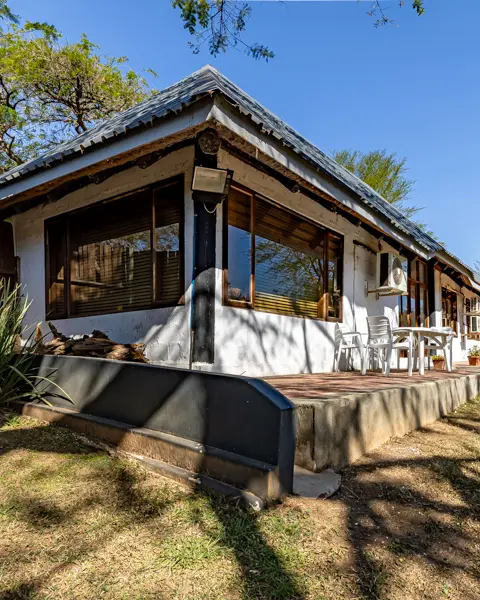 Wellness 360 | Twinstreams Collective